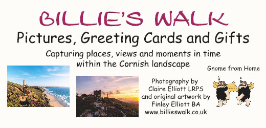 Billies Walk Photography